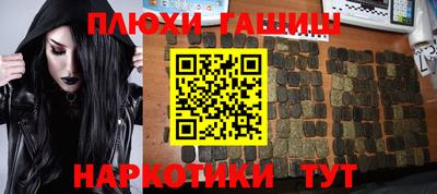 СК Краснознаменск